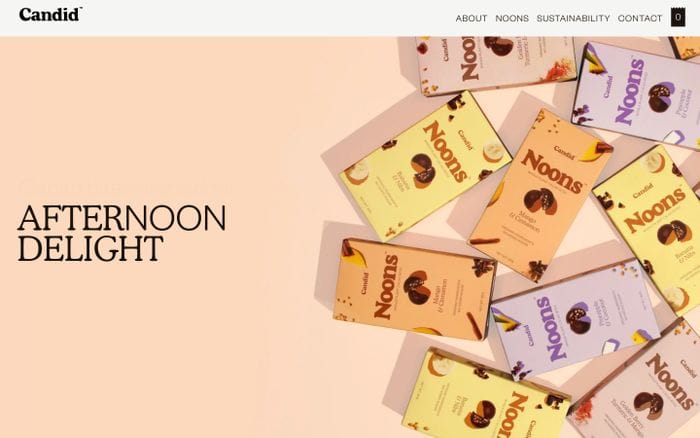 Candid website preview