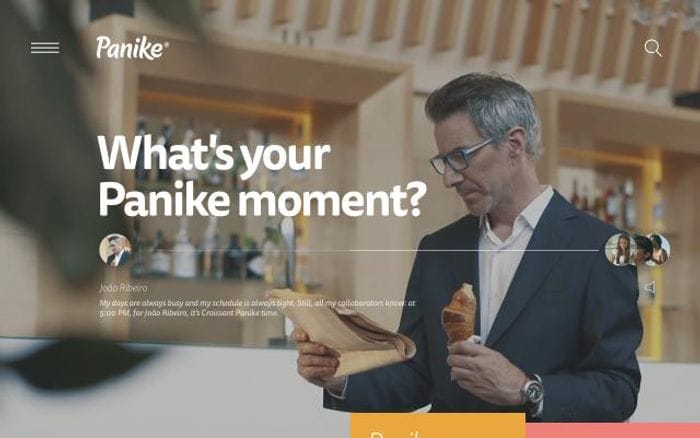Panike website preview
