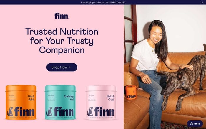 Finn website preview