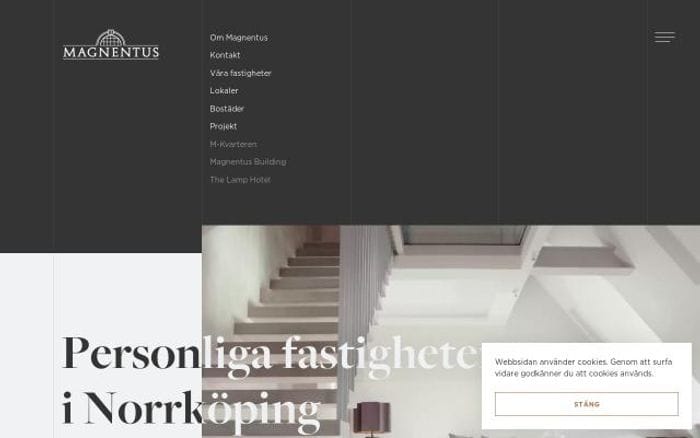 Magnentus website preview
