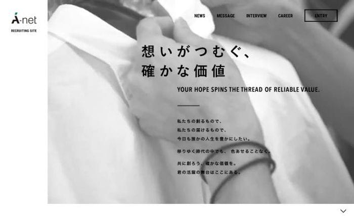 A-net website preview