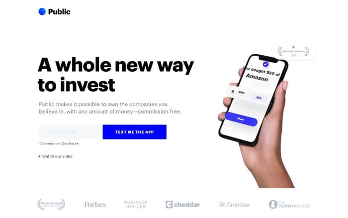 Public website preview