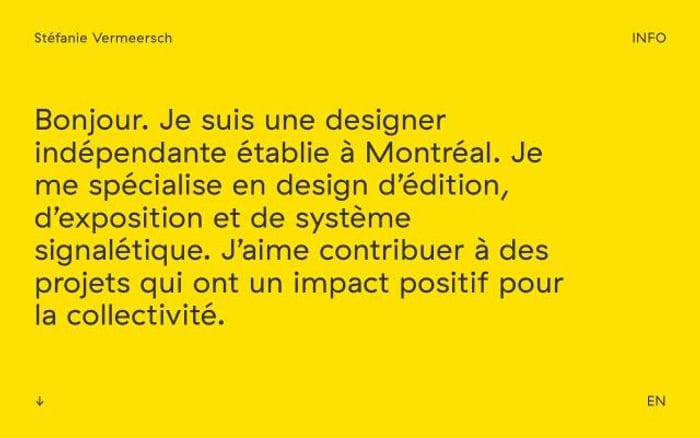 Vermeersch website preview