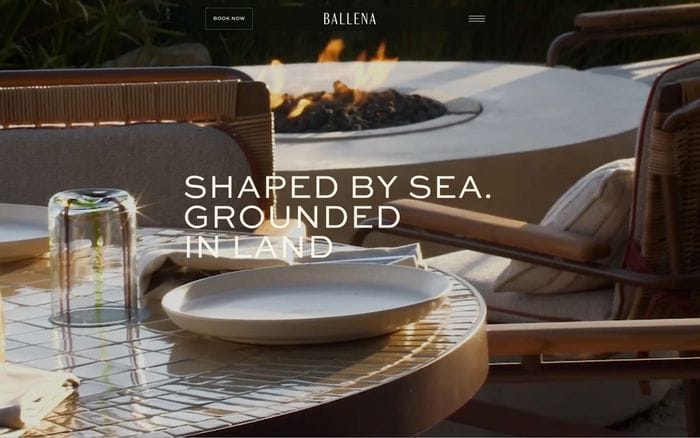 Ballena website preview