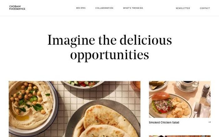 Chobanifoodservice website preview