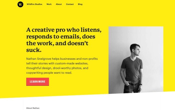 Wildfire Studios website preview