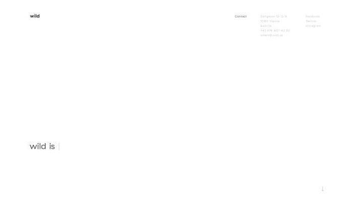 Wild website preview