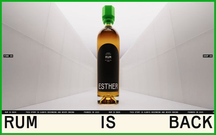 Esther website preview
