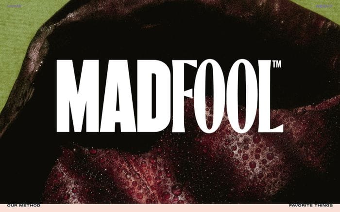 Mad Fool consulting website preview