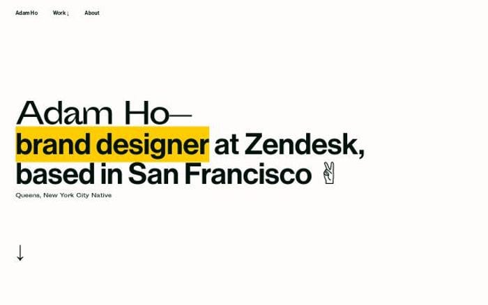 Adam Ho website preview