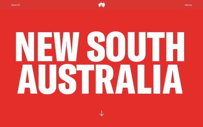 Newsouthaustralia website preview