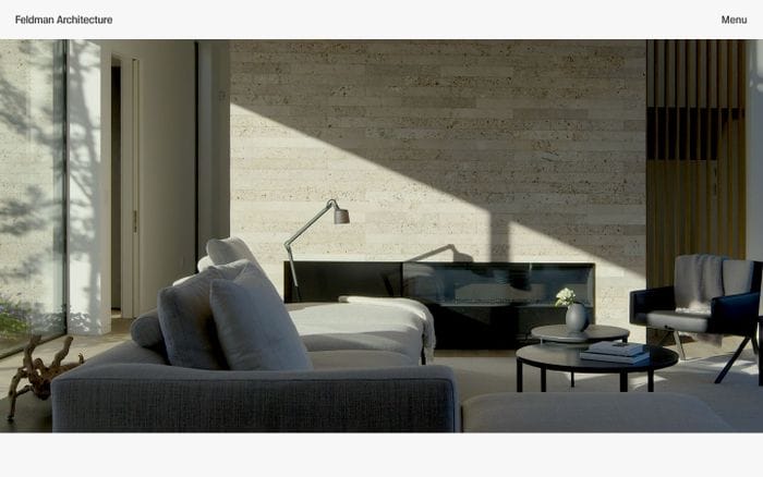 Feldman Architecture website preview