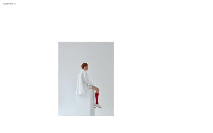 Aesthetnik website preview