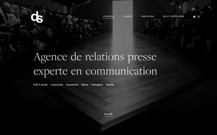 Dominiquesalmon website preview