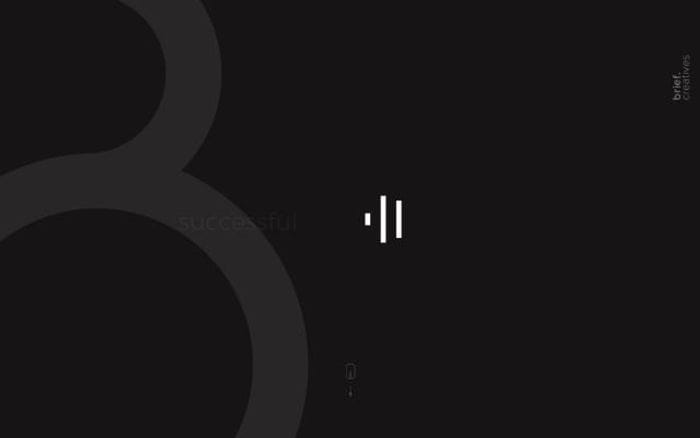 Brief website preview