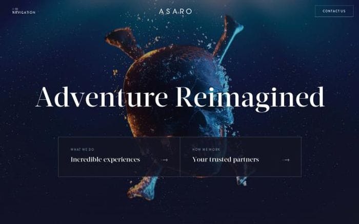 Asaro website preview