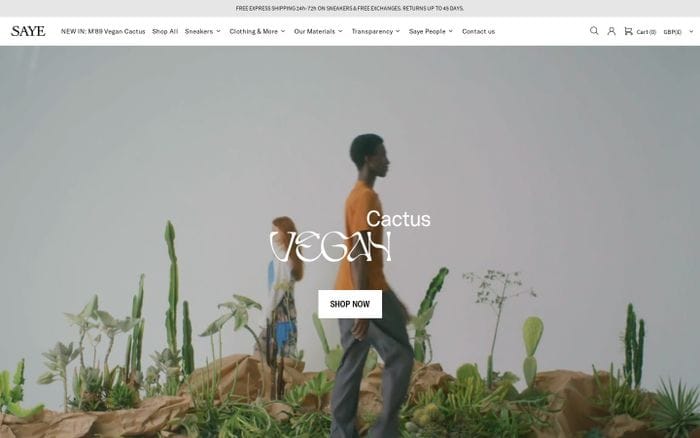 Saye website preview