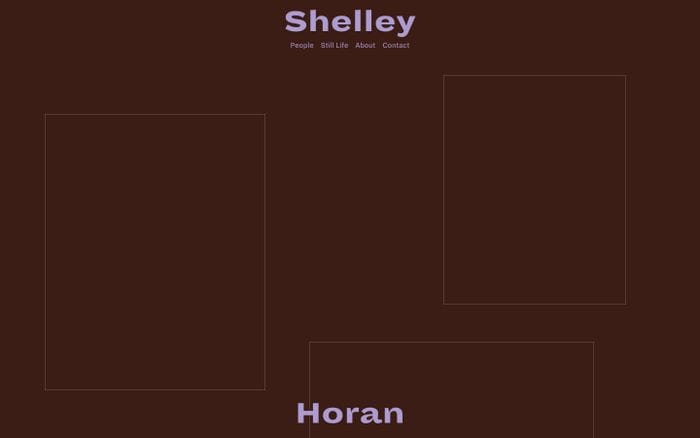 Shelley Horan website preview