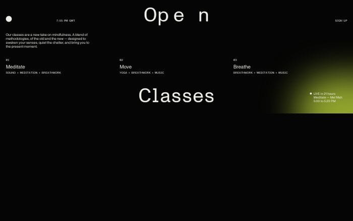 Open website preview