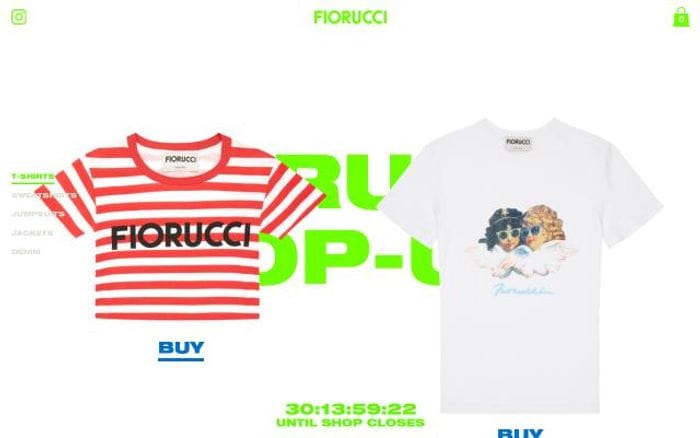 Popup website preview