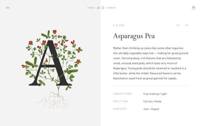 Flowerstoeat website preview