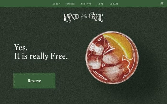 Landofthefreenyc website preview