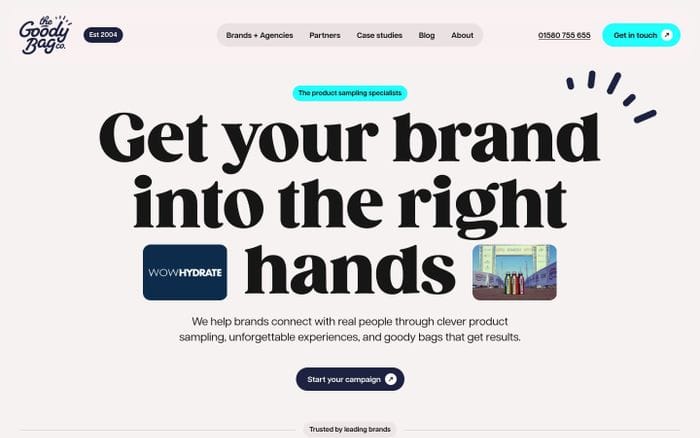 The Goody Bag Co website preview