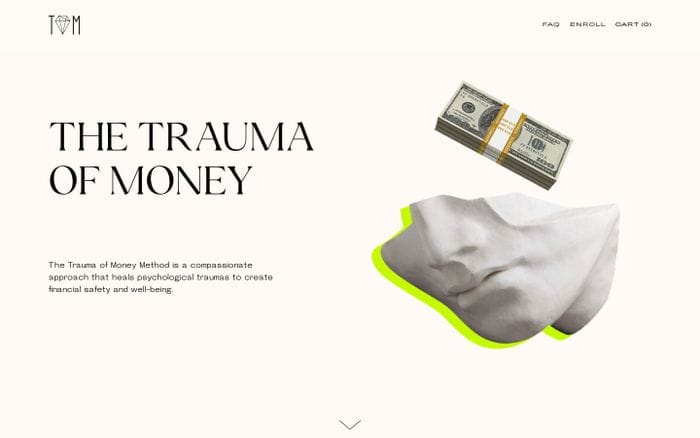 Trauma of money website preview