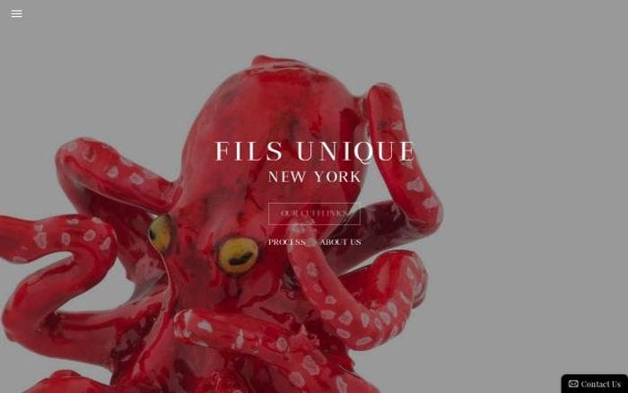 Filsunique website preview