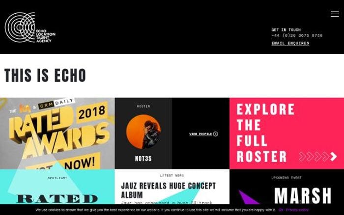 Echolocationtalent website preview