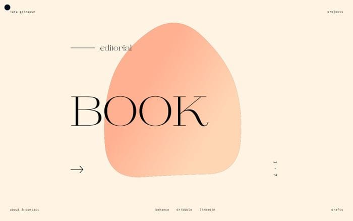 Iara Grinspun | Graphic Designer website preview