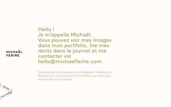 Michaelferire website preview