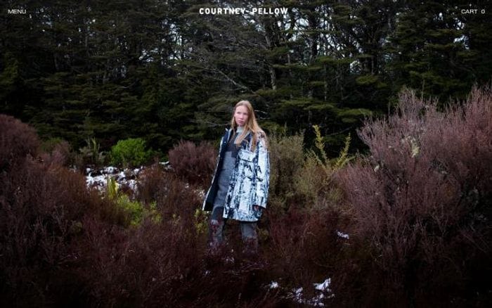 Courtneypellow website preview