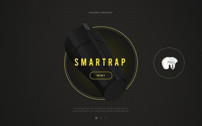 Fiomet website preview