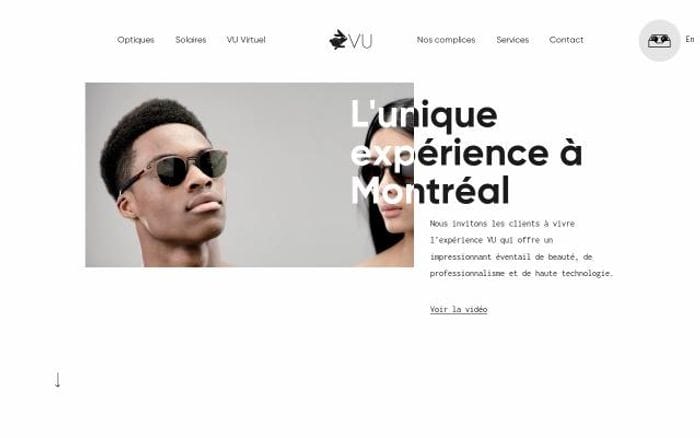 Vu website preview