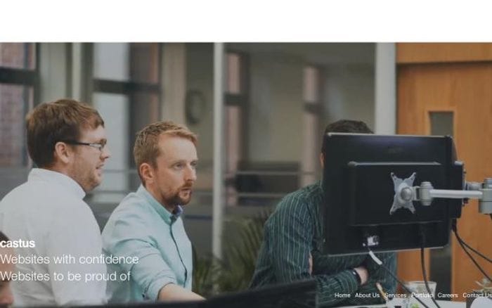 Castus website preview