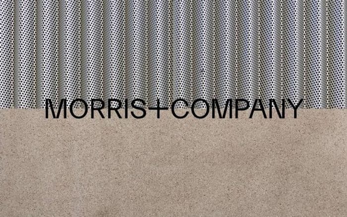 Morrisand website preview
