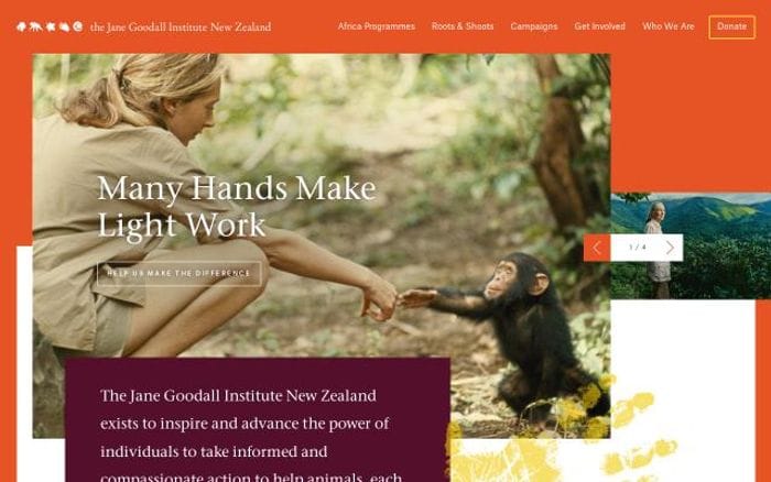 Janegoodall website preview