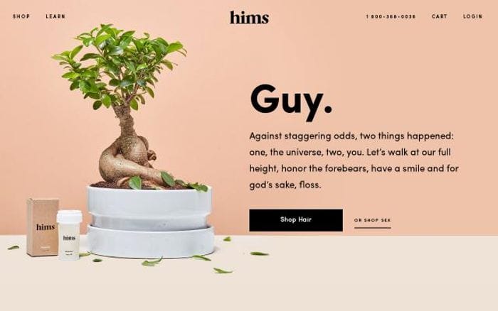 Forhims website preview