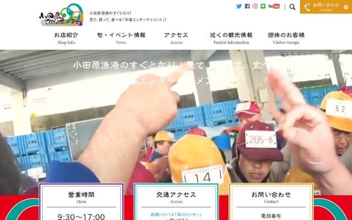 Sakana website preview