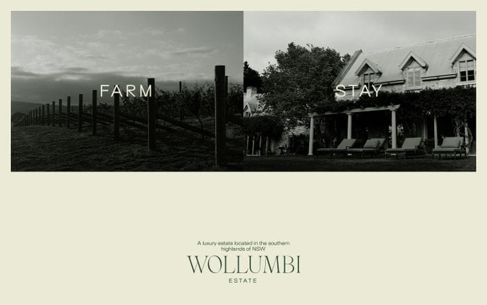  Wollumbi website preview
