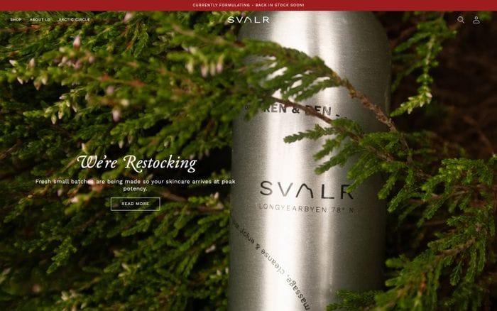 Svalr website preview