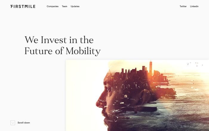 Firstmile website preview
