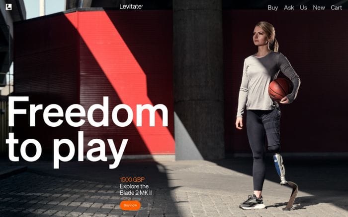 Levitate website preview