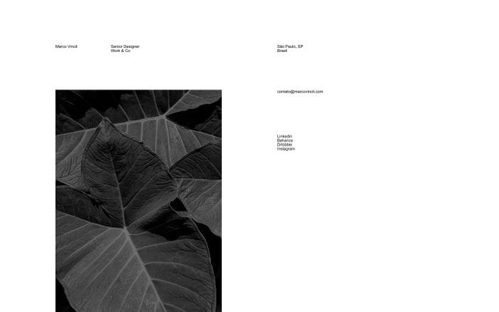 Marco Vincit website preview