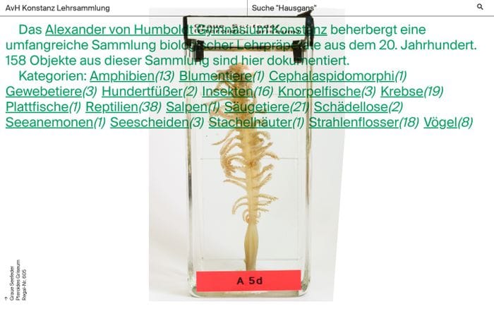 AvH Konstanz Lehrsammlung website preview