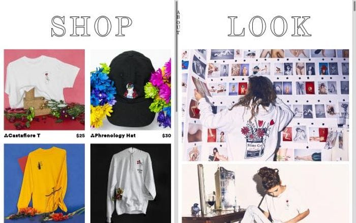Shopslime website preview