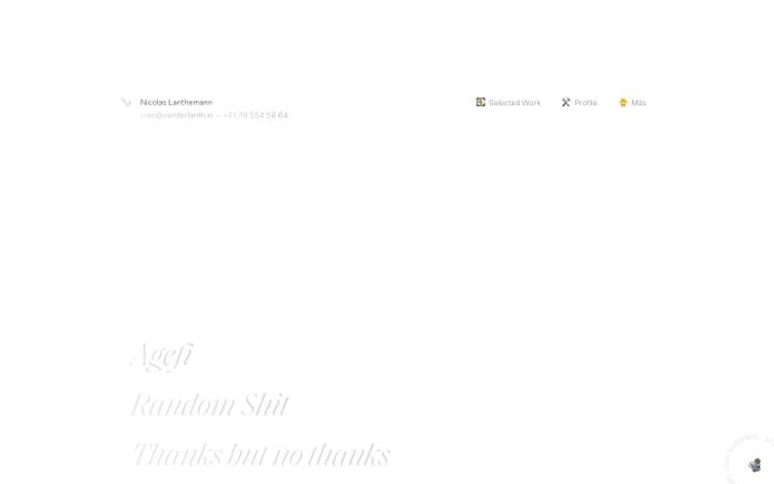 Nicolas Lanthemann website preview