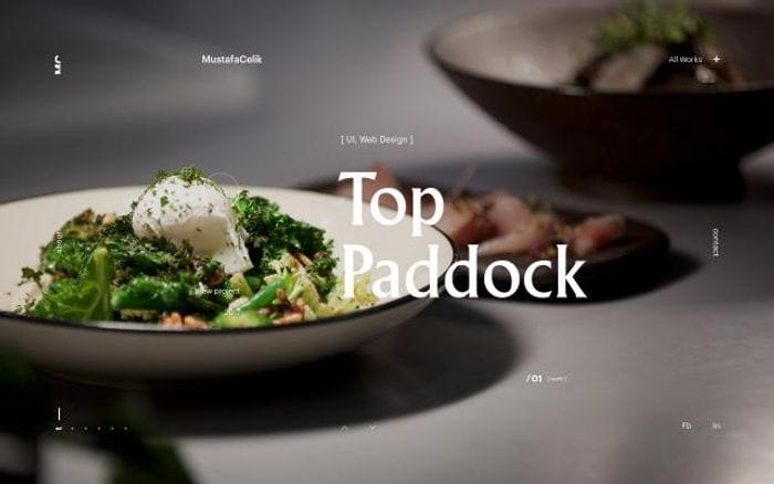 Themustafacelik website preview