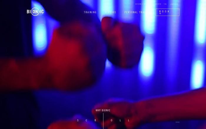 Bionic-sport website preview